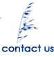 Bellinger Design Contact Us